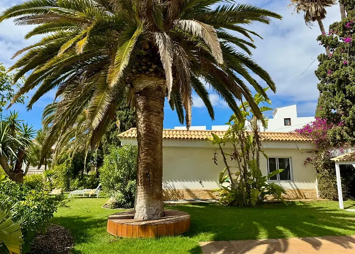 Casa Lilo, En Jardin Grande,con Gran Piscina, Con Pergola Y Barbacoa ヴィラ