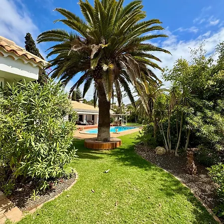 Casa Lilo, En Jardin Grande,con Gran Piscina, Con Pergola Y Barbacoa Arona (Tenerife)