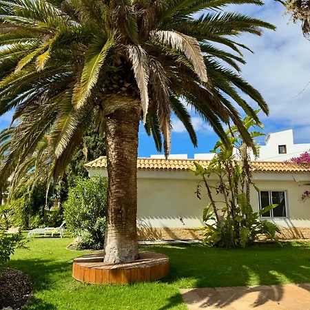 Casa Lilo, En Jardin Grande,con Gran Piscina, Con Pergola Y Barbacoa Villa