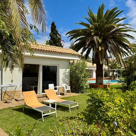 Casa Lilo, En Jardin Grande,con Gran Piscina, Con Pergola Y Barbacoa Arona (Tenerife)