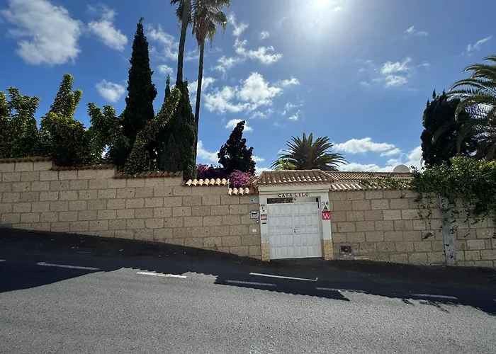 Casa Lilo, En Jardin Grande,con Gran Piscina, Con Pergola Y Barbacoa * Arona (Tenerife)